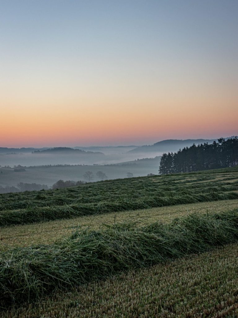 Weite, hügelige Landschaft im Sauerland mit Bäumen und Nebel