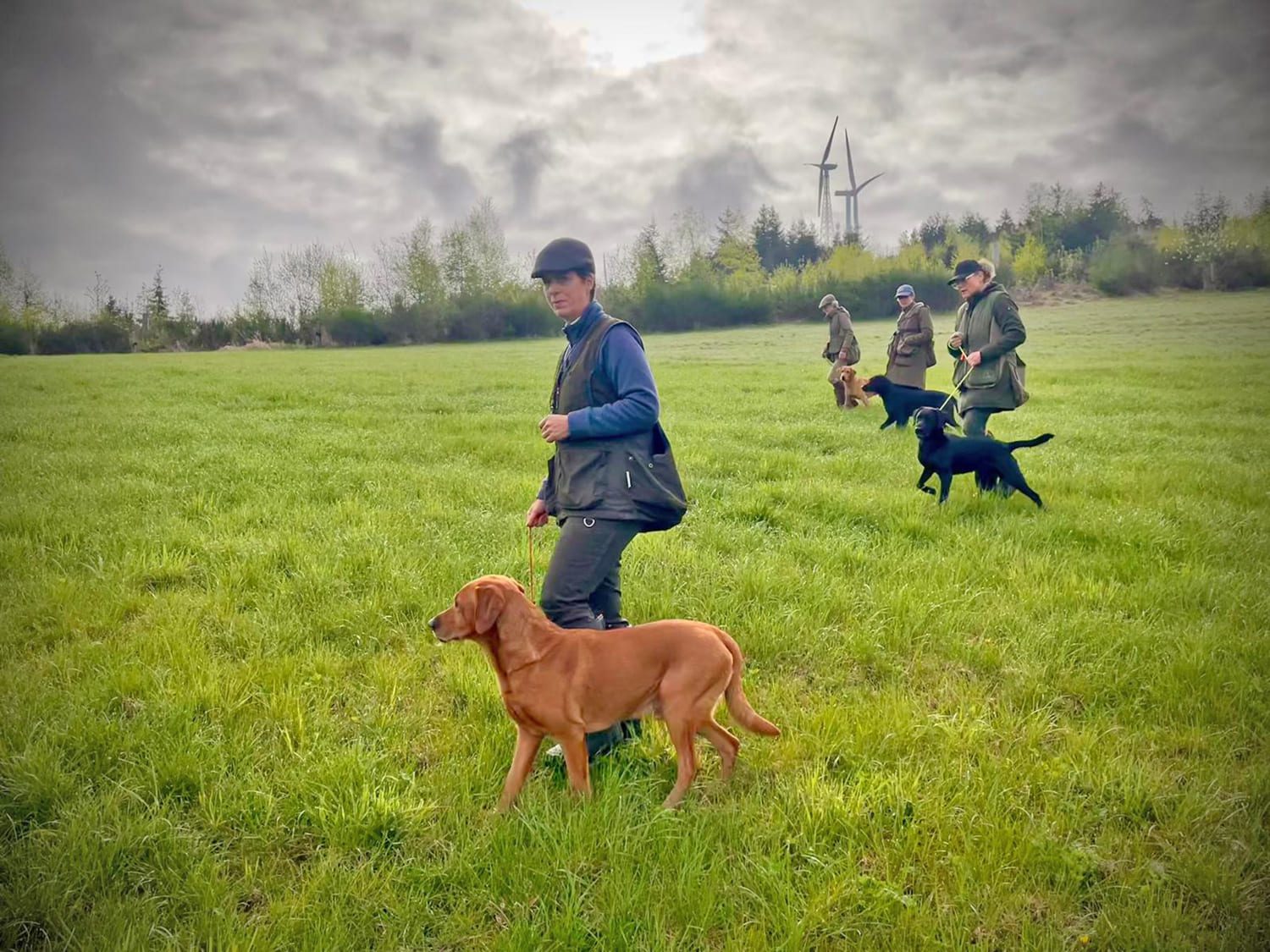 Hundetraining Übungseinheit Klaukenhof Sauerland – Hunde und Halter bei Outdoor-Training