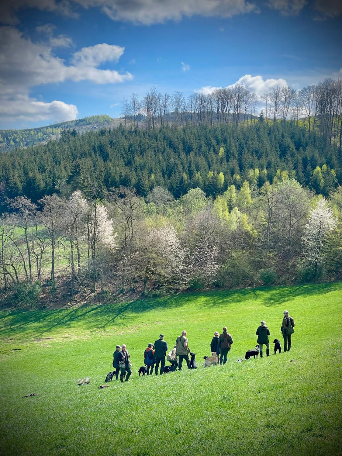 Hundetraining im Klaukenhof – Hunde und ihre Besitzer auf der Wiese im Sauerland