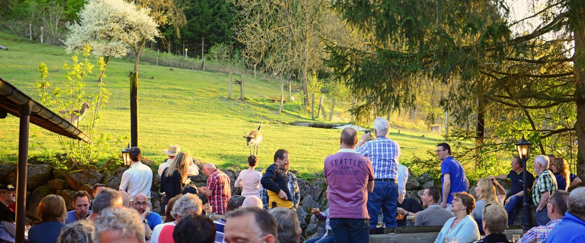 hotel-klaukenhof-draußen-essen-damwild-beobachten