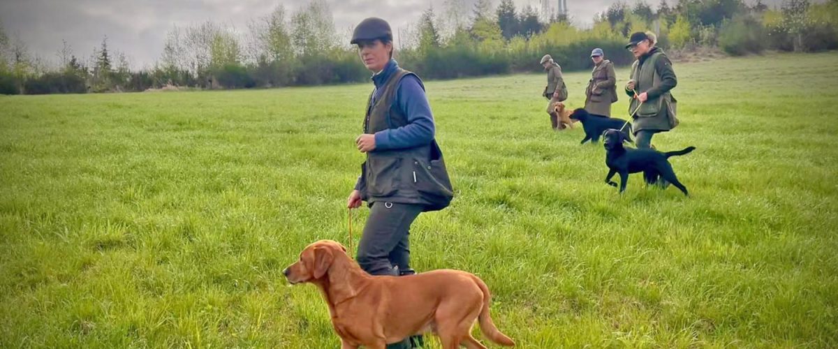 Hundetraining Übungseinheit Klaukenhof Sauerland – Hunde und Halter bei Outdoor-Training