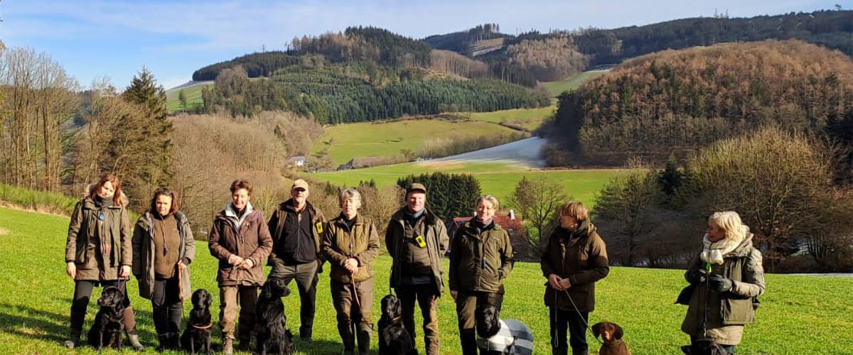 hundetraining-3-tage-sauerland-klaukenhof hundetraining-3-tage-sauerland-klaukenhof