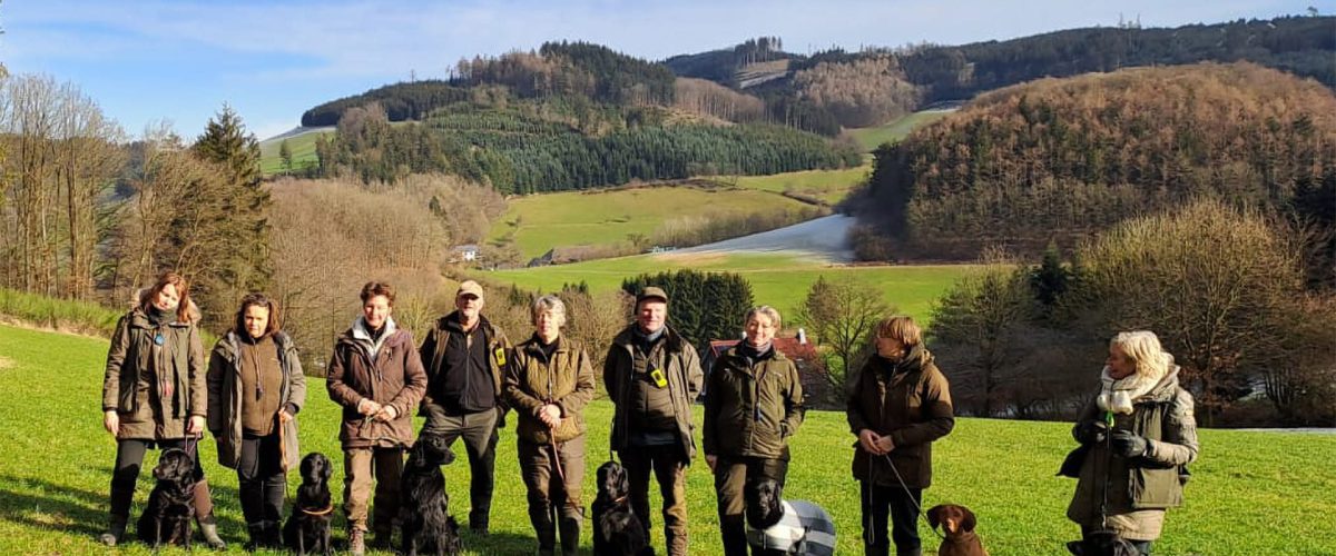 hundetraining-3-tage-sauerland-klaukenhof