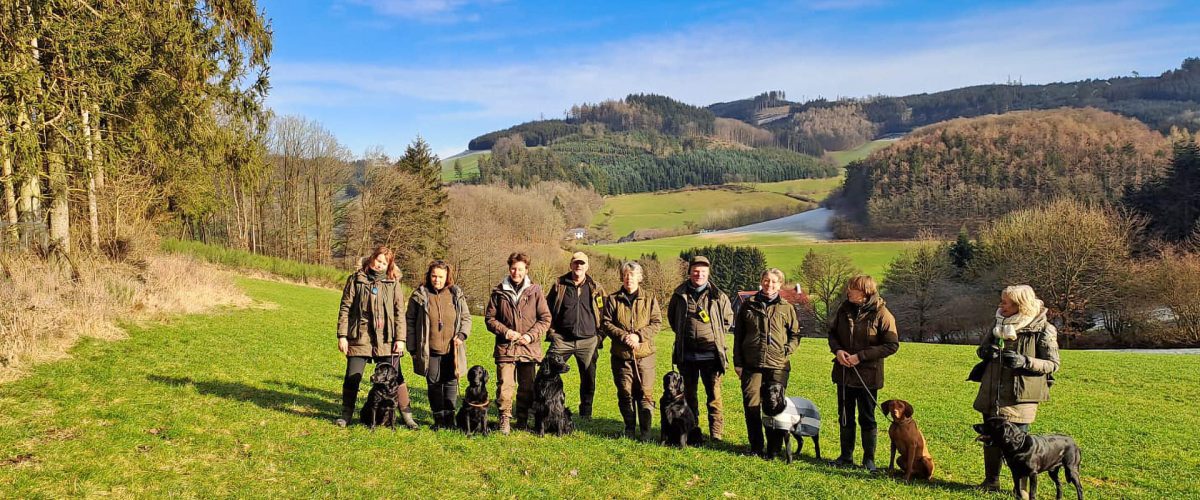 Gruppen-Hundetraining auf der grünen Wiese beim Landhotel Klaukenhof: mehrere Hunde mit ihren Besitzern in der Natur