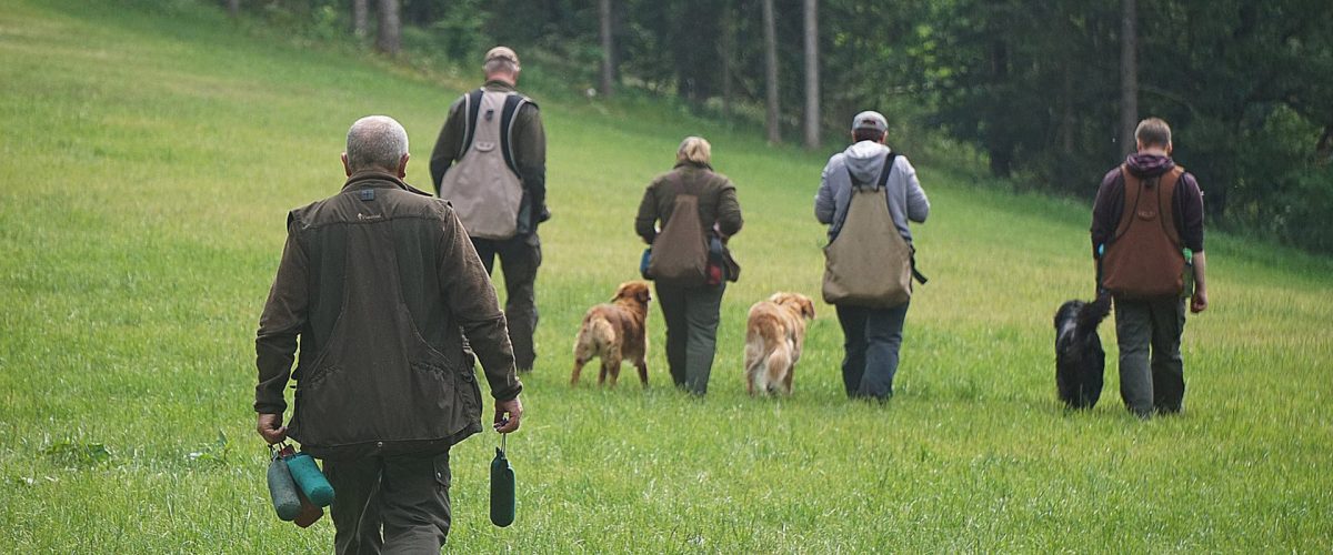 teamarbeit-hund-und-mensch-dummytraining