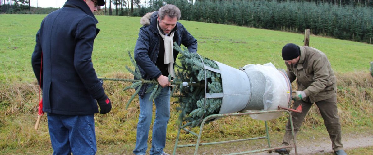 weihnachtsbaum-schlagen-gruppe-sauerland-klaukenhof