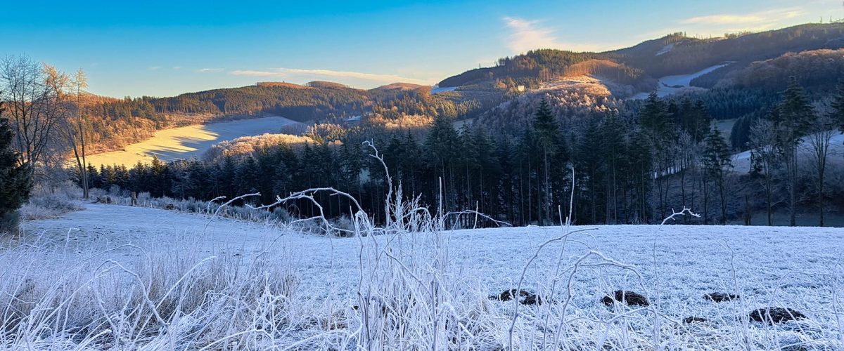 winter-dummytraining-im-schnee-sauerland